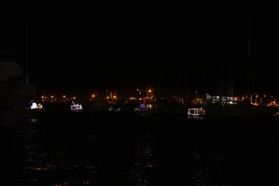 DSC_2534 (Large).JPG